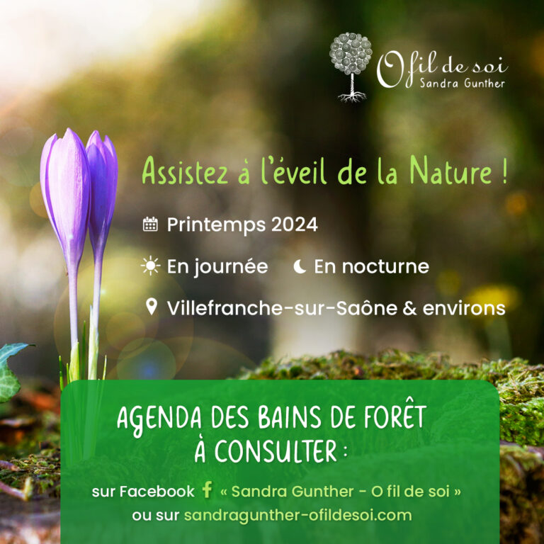 OFILDESOI Agenda Sylvotherapie 768x768