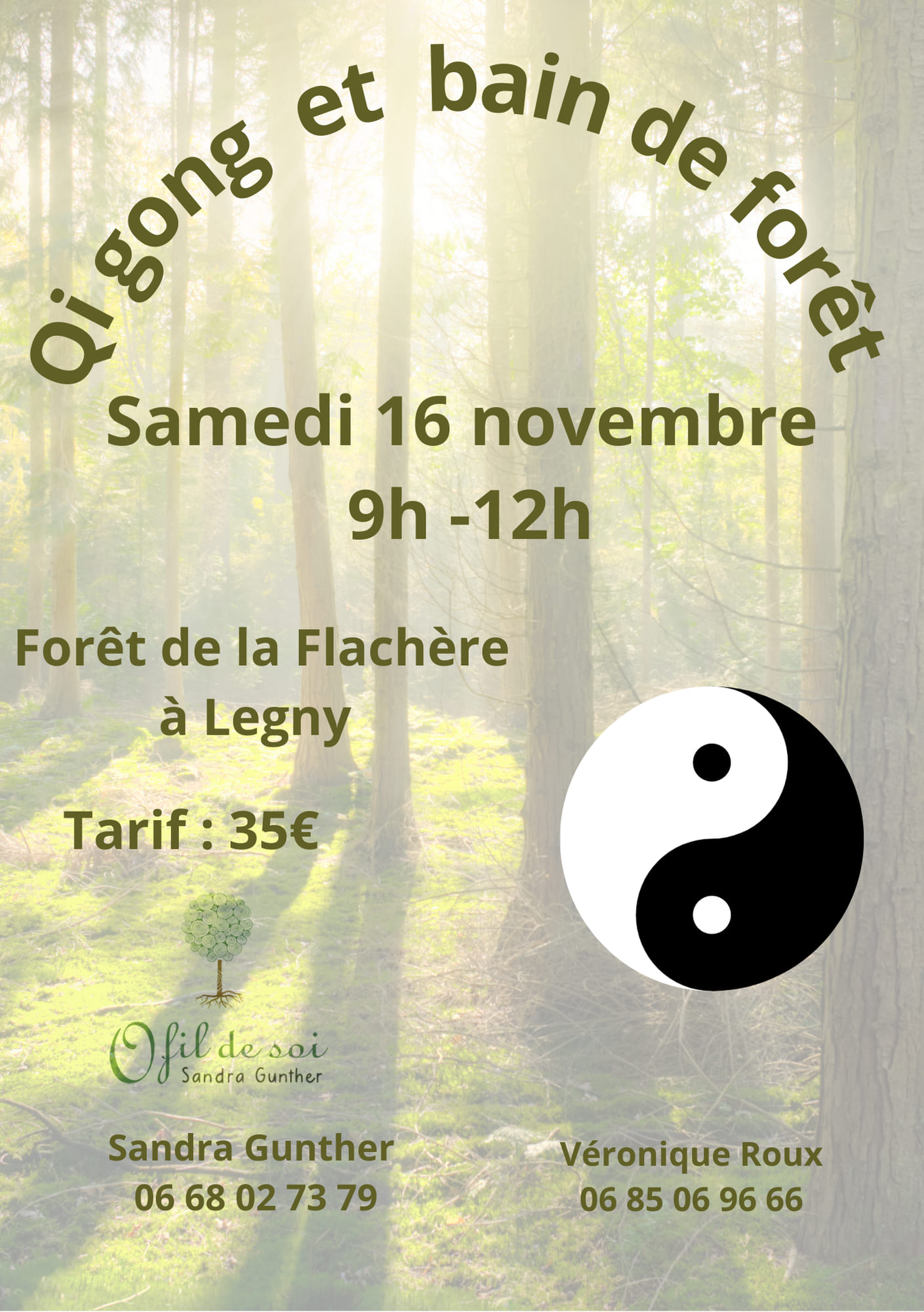 Bf Qi Gong Nov