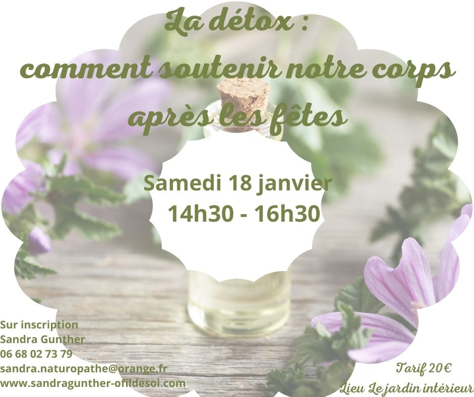 Atelier Detox Janvier 2025 Gunther