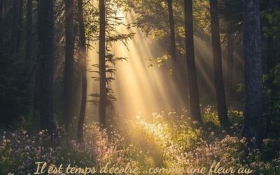 Éclore – un voyage vers soi