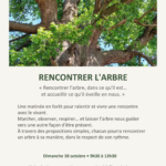 o fil de soi rencontrer avec l arbre.pptx