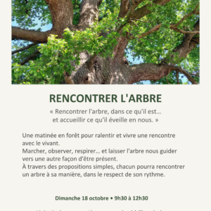 o fil de soi rencontrer avec l arbre.pptx