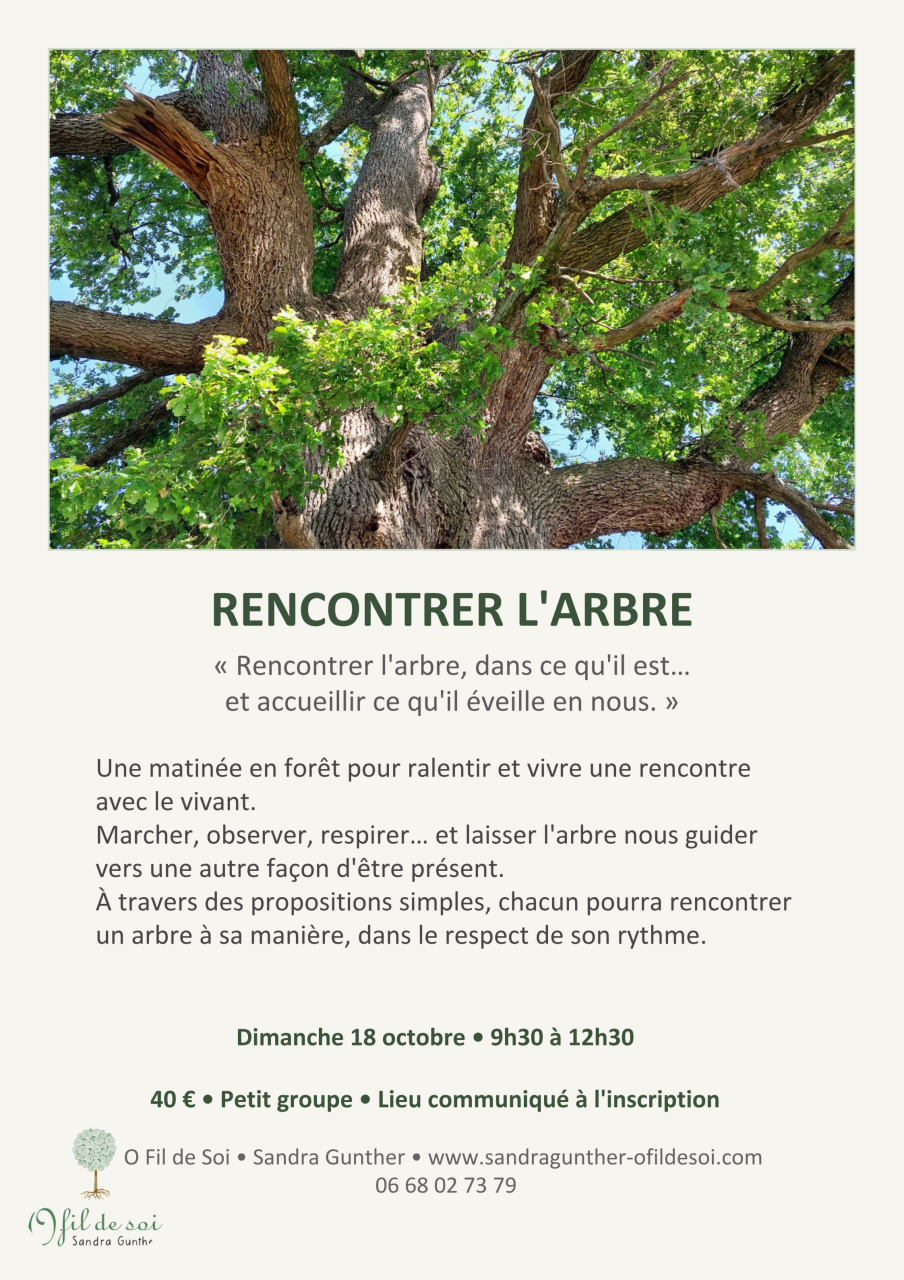 o fil de soi rencontrer avec l arbre.pptx