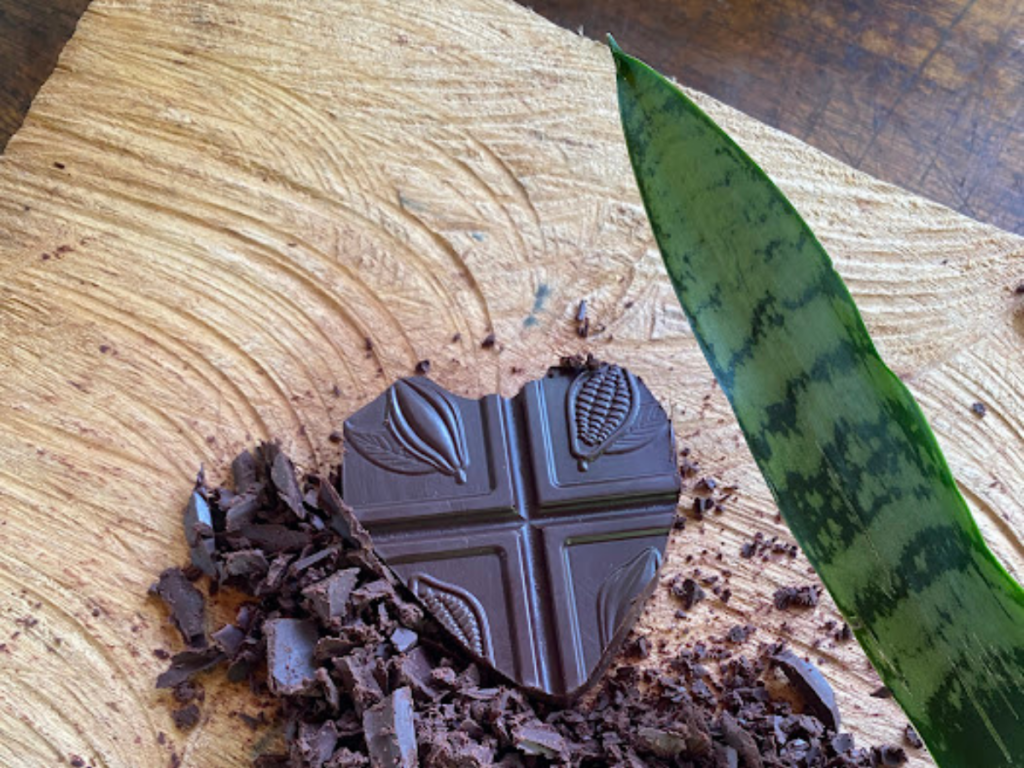 Le cacao s gunther cacao 3 cadre